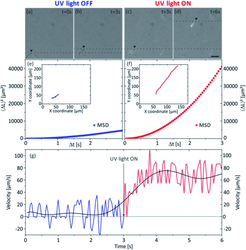 Fig. 8