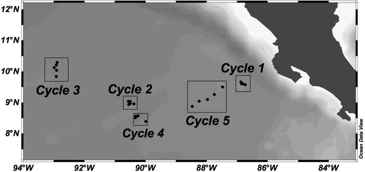 Fig. 1.