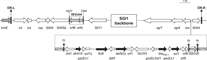 FIG 1 