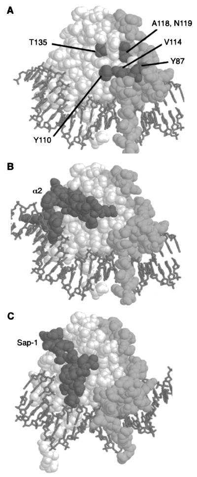 FIG. 7.