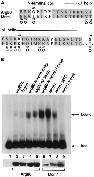 FIG. 5.