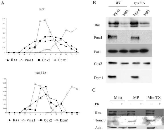 FIG. 7.