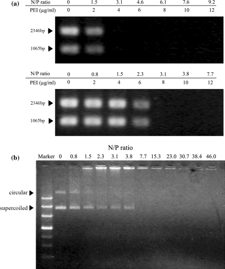 Fig. 7