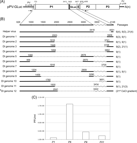 Fig 4