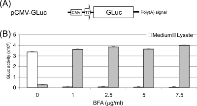 Fig 8