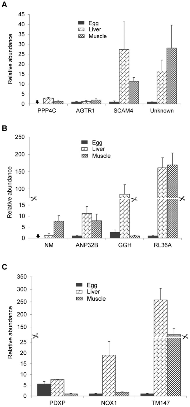 Figure 5