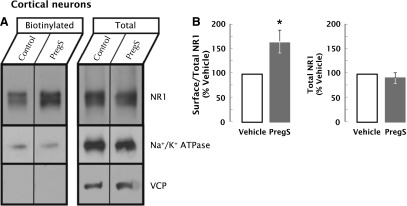 Fig. 9.