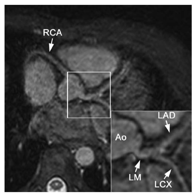 Fig. 5.