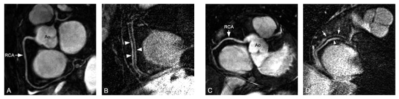 Fig. 8.