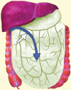 Figure 2a