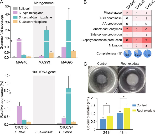 FIG 6