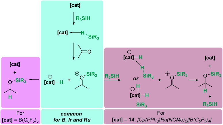 Scheme 9