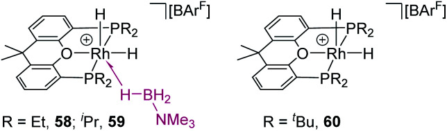 Fig. 11