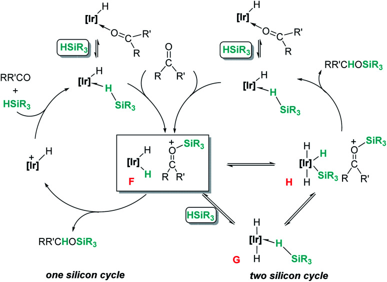 Scheme 7