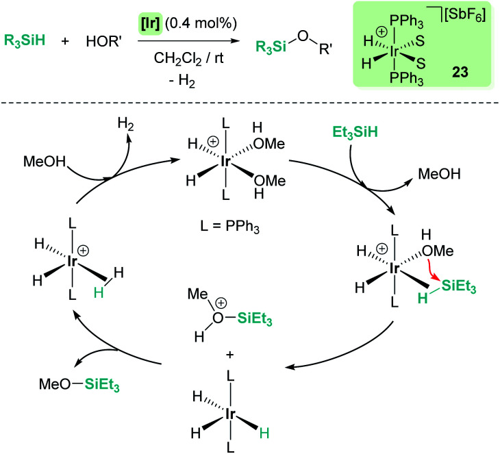 Scheme 16