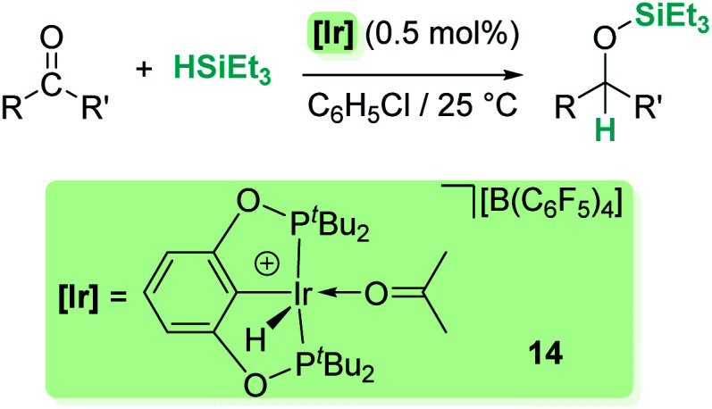 Scheme 6