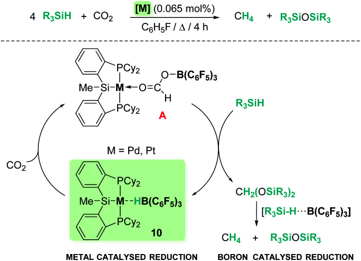 Scheme 3