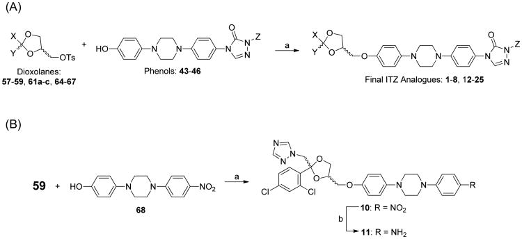 Scheme 5