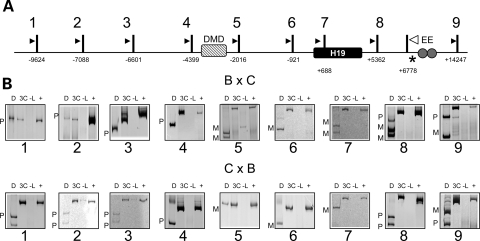 Figure 2.