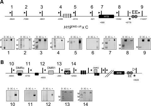 Figure 5.