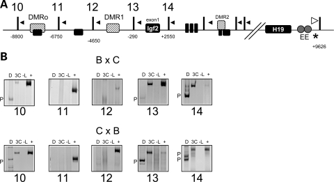 Figure 3.