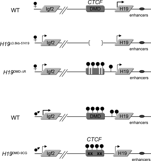 Figure 1.