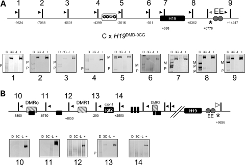 Figure 6.