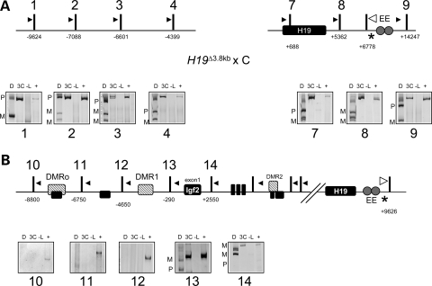 Figure 4.