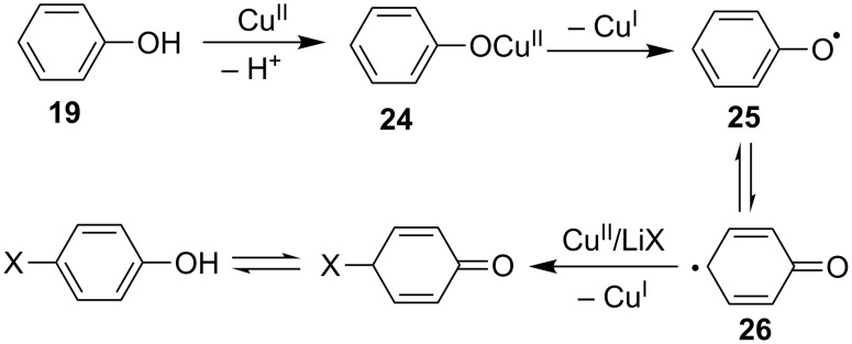 Scheme 12