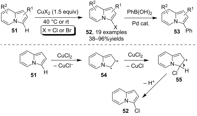 Scheme 18