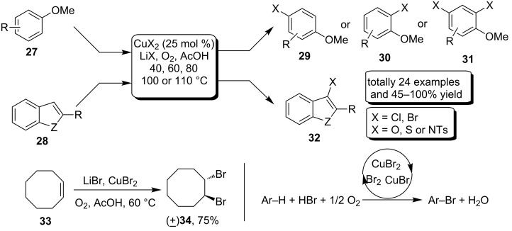 Scheme 13