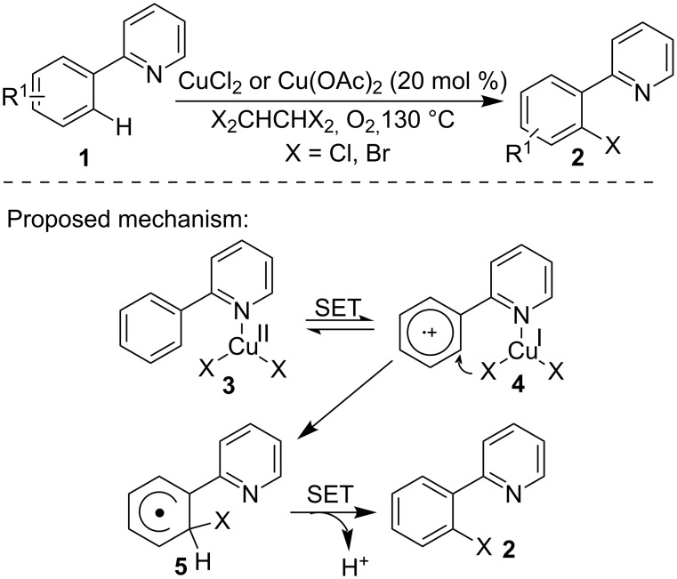 Scheme 1