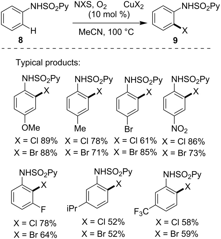 Scheme 6