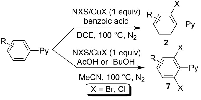 Scheme 5