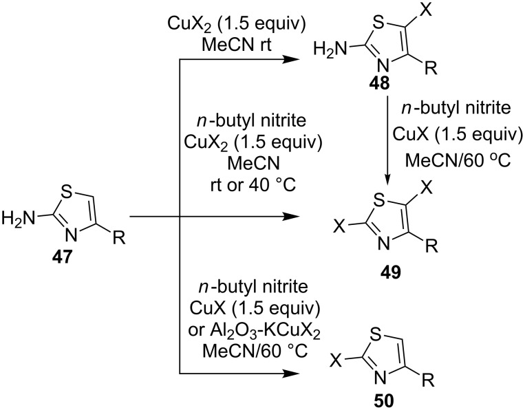 Scheme 17