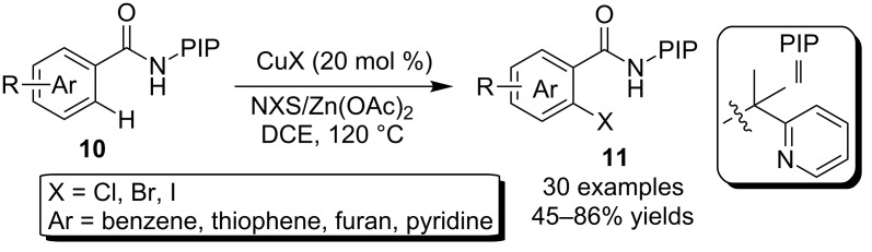 Scheme 7