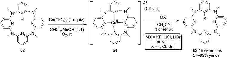 Scheme 20