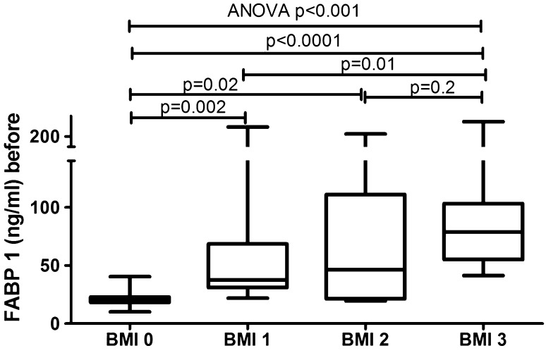 Fig. 3