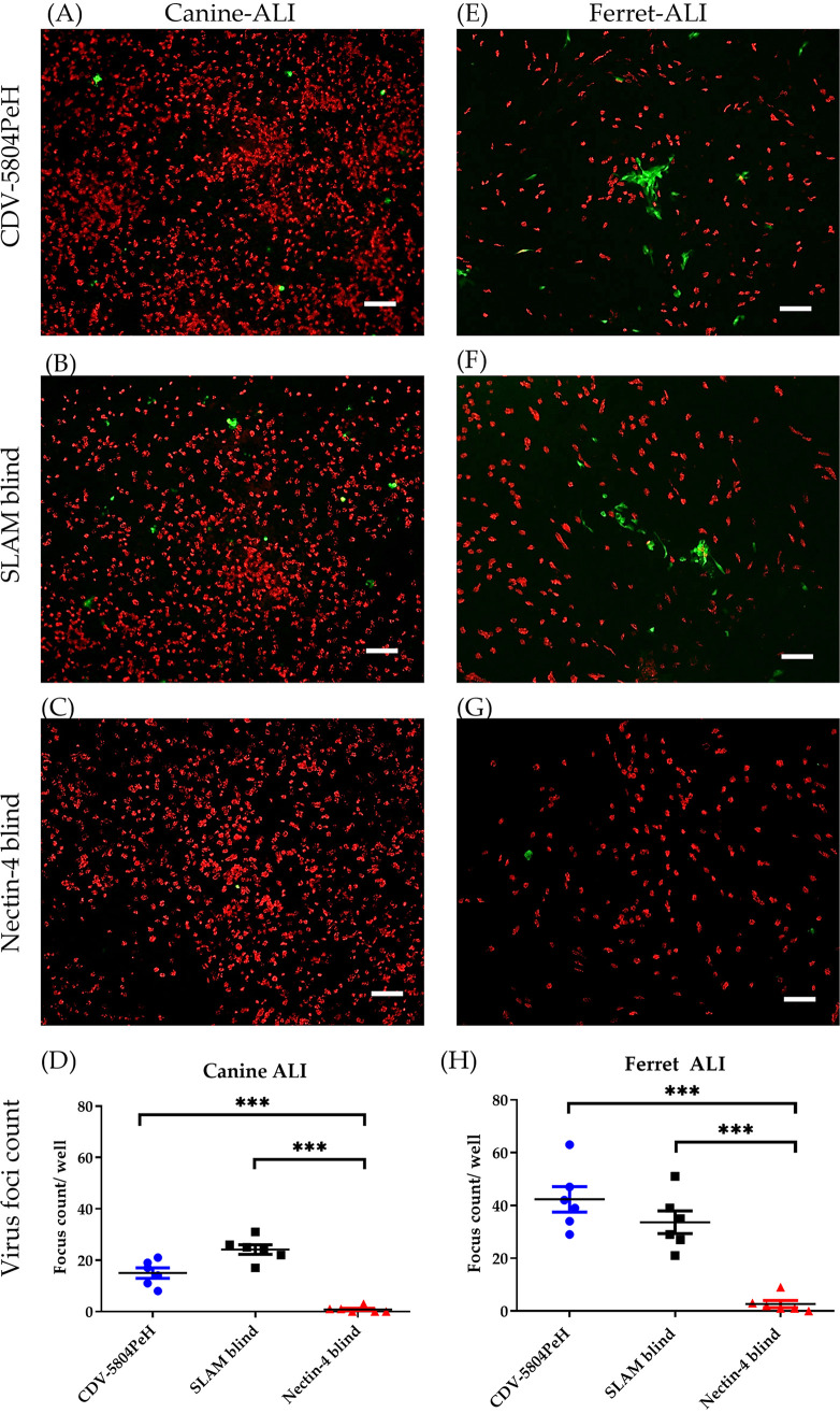 FIG 4