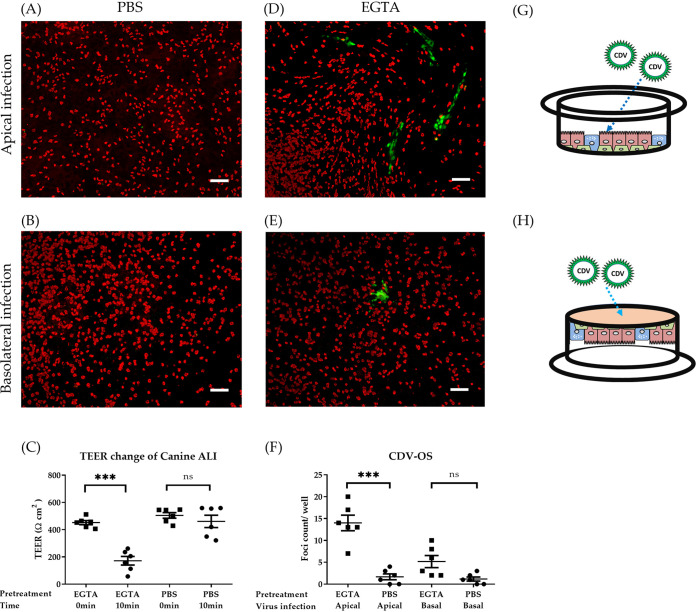 FIG 3