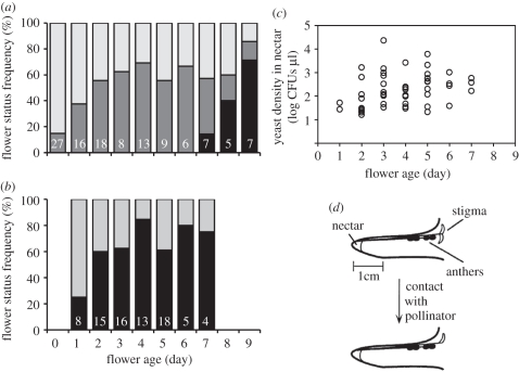 Figure 1.