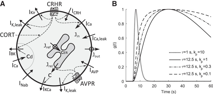 Fig. 1.