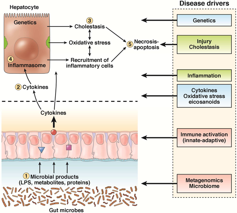 FIGURE 1: