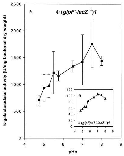 FIG. 5