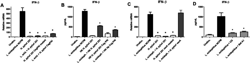 FIG 3 