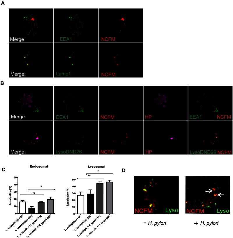 FIG 4 