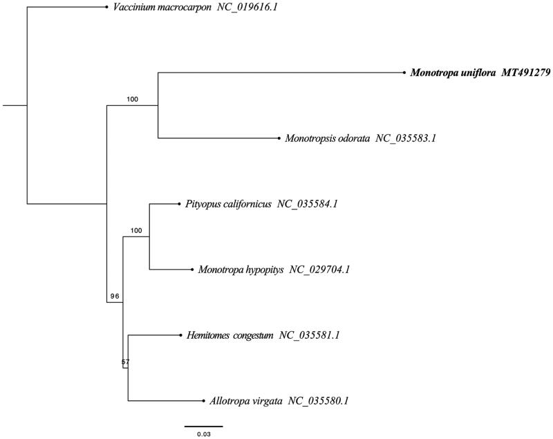 Figure 1.