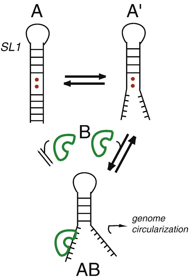 Fig. 9