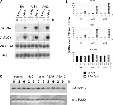 Figure 6.