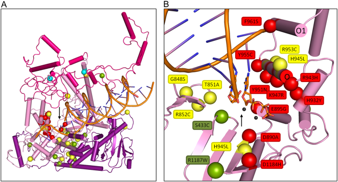 Fig. 6.